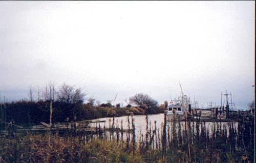 View looking west