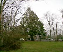 View of Redwood Park, 2004; Donald Luxton and Associates, 2004