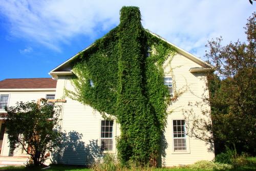 Showing side elevation