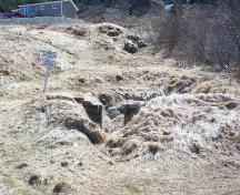 View of the ruins of Newman and Company Root Cellar, Harbour Breton, NL. Photo taken 2009. ; Doug Wells 2010