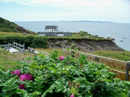 Deadman’s Cove, Harbour Breton, NL