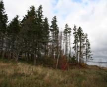 Showing cemetery in grove of trees; Province of PEI, Donna Collings, 2008