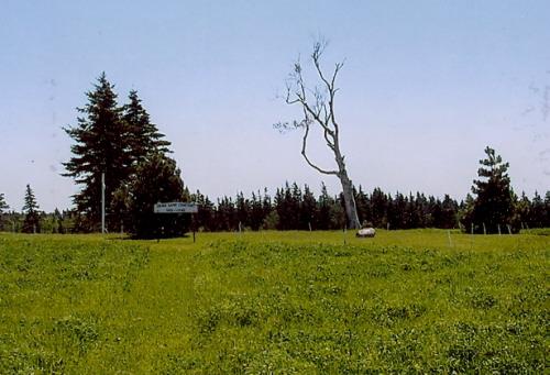 Showing approach to cemetery from Easter Road