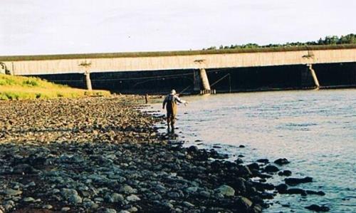 Hartland Salmon Pool