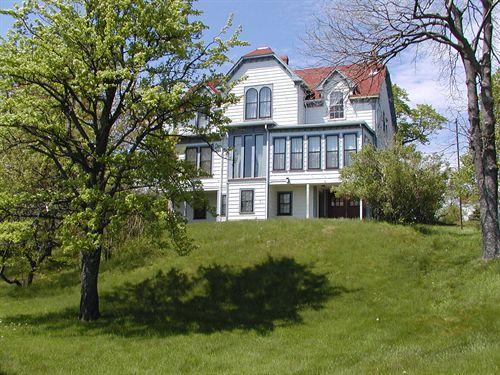 Rear Elevation