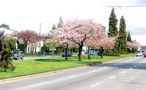 Looking northwest near West 64th Avenue