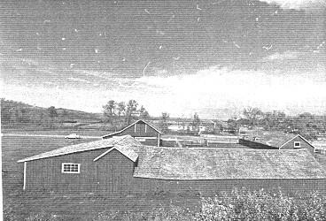 Side View