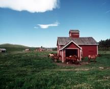Facade of Stud Horse Barn with horse; Parks Canada Agency / Agence Parcs Canada