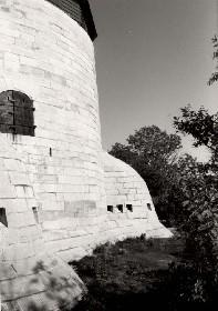 Side view
