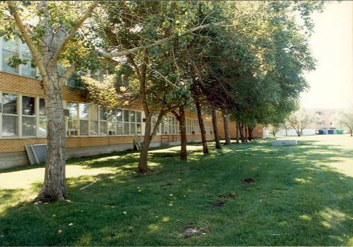 Side view
