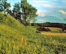 General view of Kay-Nah-Chi-Wah-Nung showing the site’s relative isolation from major development and the health of its ecosystem.; Parks Canada Agency / Agence Parcs Canada, n.d.