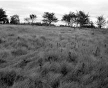 Vue générale du lieu historique national du Canada de l'Établissement-Melanson, qui montre la vue sur les champs environnants, 2001.; Agence Parcs Canada / Parks Canada Agency, S. Quon, 2001.