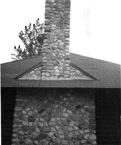 Détail
