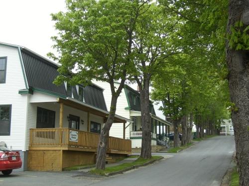Cable Avenue, Bay Roberts, NL