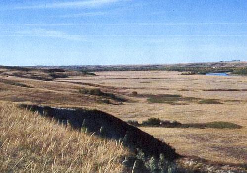 General view