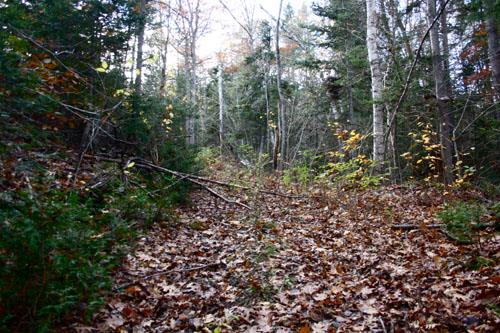 Le sentier Old Portage