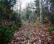 Vue d'une partie du sentier Old Portage; Town of Gand Bay-Westfield