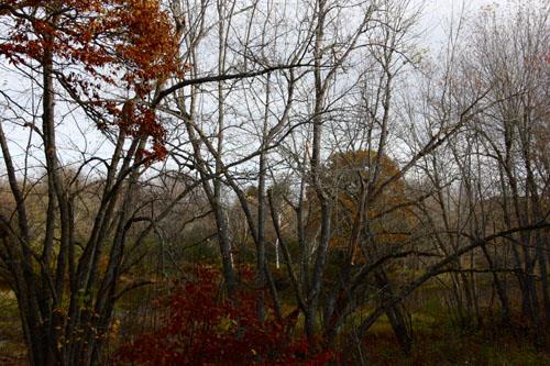 Le sentier Old Portage