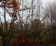 Une partie du sentier Old Portage; Town of Grand Bay-Westfield