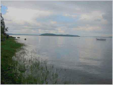 Rivage à Blueberry Hill