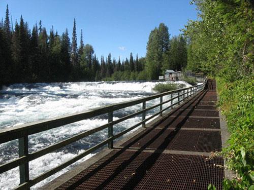 View upstream toward fish counting facilities