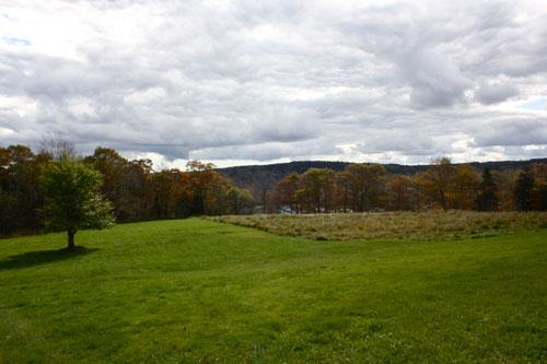 View of the landscape