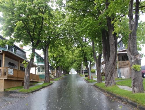 Cable Avenue Heritage District, Bay Roberts, NL 
