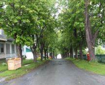 View looking down Cable Avenue, Bay Roberts, NL; © HFNL/Andrea O'Brien 2013 
