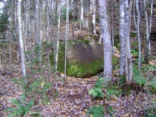 West River Petroglyph