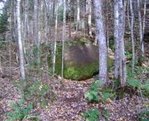West River Petroglyph; Province of PEI, C. Stewart, 2012