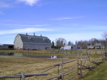 Gillis farmyard