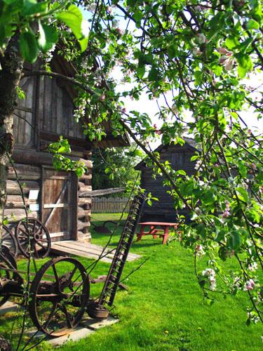 Landscaping and artifacts