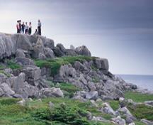 Vue générale de Port au Choix, qui montre l’emplacement de lieu, très proches de la mer, 2003.; Parks Canada Agency / Agence Parcs Canada, D. Wilson, 2003.
