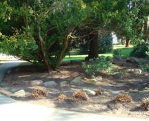 Stanley Park Rock Garden; City of Vancouver, 2008
