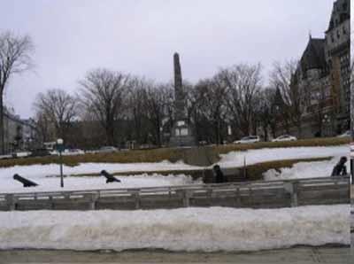 Vue générale