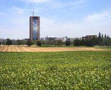 Champ de soya vert en avant-plan; Agriculture and Agri-Food Canada | Agriculture et Agroalimentaire Canada