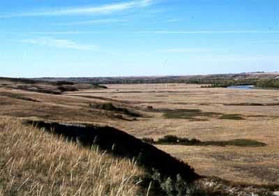 General view of the Treaty Flats