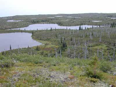 Vue générale