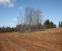 Cemetery with grove of trees; Province of PEI, F Pound 2009