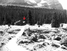 Vue panoramique du pavillon Wiwaxy(droite) et le refuge Elizabeth Parker (gauche) et le rapport soutenu entre le pavillon Wiwaxy et son emplacement naturel entouré d’arbres à maturité, 1987.; Public Works Canada / Ministère des Travaux publics, A. Powter, 1987