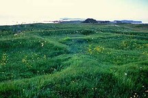 Vue générale des vestiges des habitations des Vikings à L'Anse aux Meadows mettant de l'emphase sur la disposition du site en trois complexes groupés de huit vestiges distincts de bâtiments, et les structures et tertres associés, 2003.; Parks Canada Agency / Agence Parcs Canada, D. Wilson, 2003.
