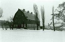 Vue en angle de la petite étable à bovins laitiers, qui montre la forme classique du toit surmonté par des évents, le toit en mansarde et les fermettes, 1987.; Parks Canada Agency / Agence Parcs Canada, 1987.