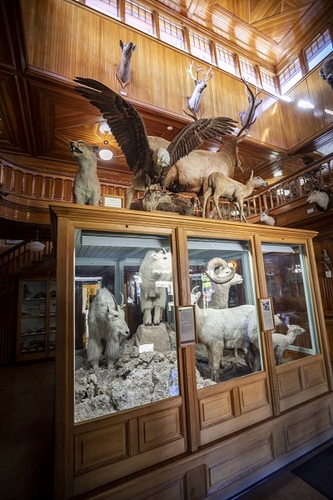 Interior view of the museum