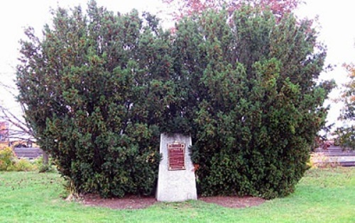 General view