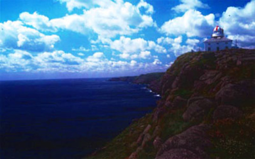 Landscape view