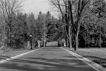 Vue générale des entrées secondaires et les clôtures de Rideau Hall, qui montre les ouvrages décoratifs en fonte et en fer forgé, 1986.; Public Works and Government Services Canada / Travaux publics et Services gouvernementaux Canada, 1986.
