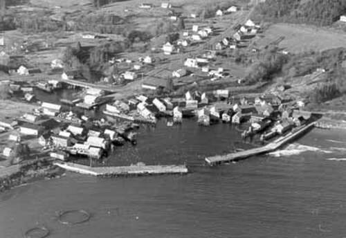 Aerial photo of the cove