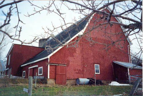 Side Perspective