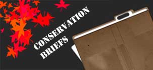 Conservation Briefs